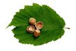 Photo : Noisettes 1 Noisettes 1