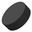 Hockey Puck