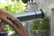 Cannon