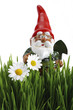 Garden gnome with spade, grass in foreground