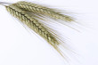 Photo: Rye Rye