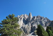 Montagna tra gli alberi
