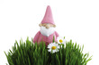 Garden gnome, grass in foreground