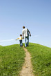 Father walking with son hand in hand, rear view