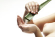 Naked woman holding aloe vera leaf, mid section