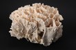 corail 2