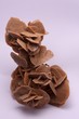 rose des sables