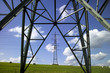 Pylons in meadow