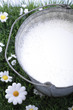 Bucket with fresh milk, elevated view, close-up
