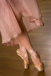 Danseuse,tutu,ballerine,parquet Danseuse,tutu,ballerine,parquet