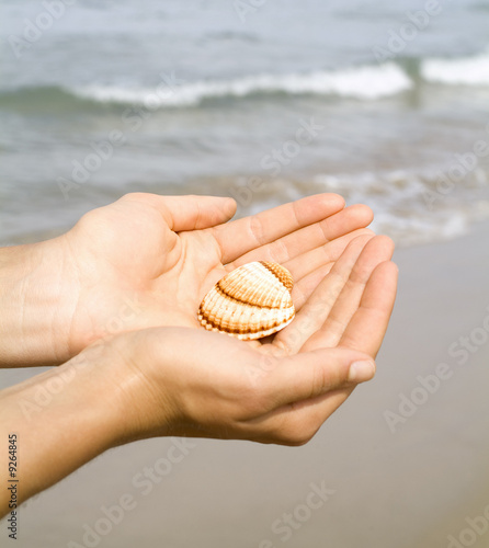 Photo: girl holding a shell in her hands at the beach girl holding a shell in her hands at the beach