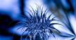 Abstract 3D flower