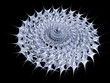 Abstract 3D sculpture