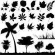 flower, leaf and tree vector