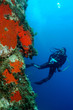 Paysage sous marin 1