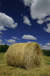 Hay roll (bale)