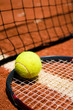 Tennis ball on the court
