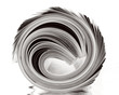 rolled up magazine