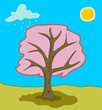 Spring Season