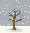Winter Season