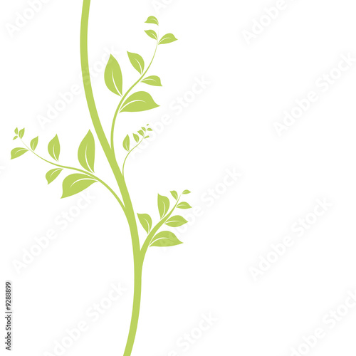 vecteur série - floral design feuilles et liane vectorielle vecteur série - floral design feuilles et liane vectorielle