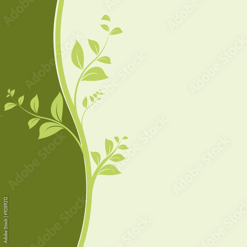 background images nature. vector nature background