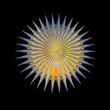 3D sun in chrome