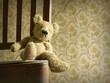 Teddy