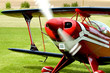Pitts