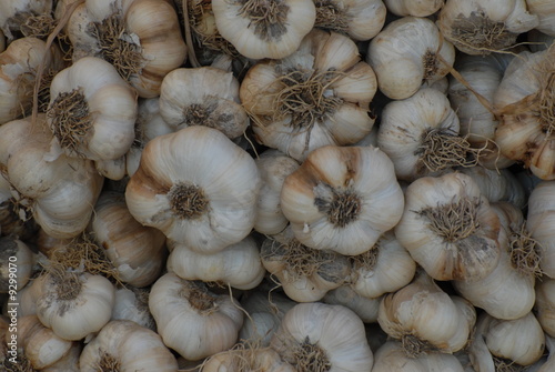 aglio