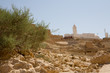 deserto
