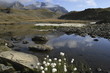 Lac de montagne