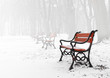 Red bench in the fog in winter Red bench in the fog in winter
