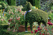 JARDIN AMUSANT