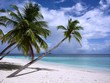 Maldive beach