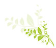 vecteur série, floral design nature graphisme vectoriel