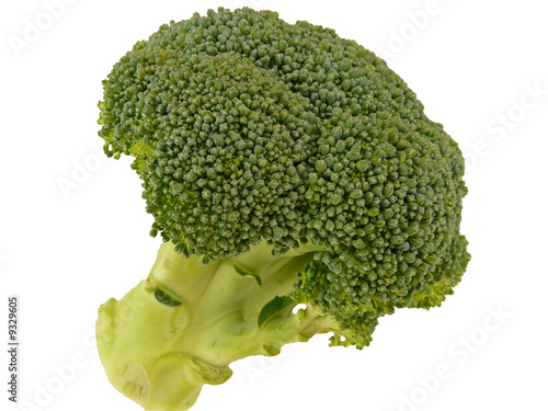 Photo: Broccoli Broccoli