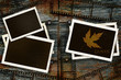 Old photos and film on rustic barn wood panel