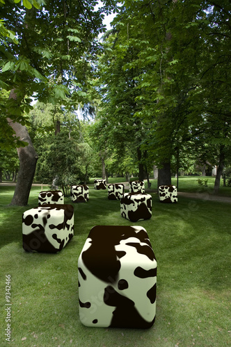 Photo: Cowcube's 2 Cowcube's 2