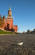 White dove on Red Square in Moscow, Russian Federation