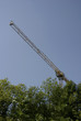Crane above the trees against a blue sky.