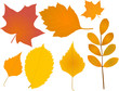 autumn leaves autumn leaves