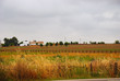 Hacienda Vadillo