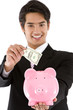Business man putting a bill on his piggy bank -