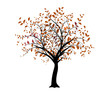 vecteur série, arbre vectoriel - vector tree with orange leaves