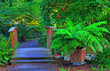 Wooden Garden Bridge With Potted Fern Wooden Garden Bridge With Potted Fern