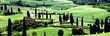 S Kurve,Zypressenallee,Toskana,Val d Orcia,Monticchiello,Italien