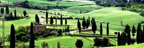 S Kurve,Zypressenallee,Toskana,Val d Orcia,Monticchiello,Italien