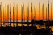 yachts at sunset at pirita harbor, Tallinn, Estonia