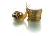 Snail climbing coin pile